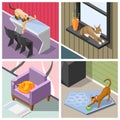 Purebred Cats Isometric Design Concept