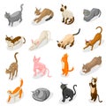 Purebred Cats Isometric Icons