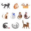 Purebred cats, playful pets vector illustrations set Royalty Free Stock Photo