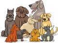 Purebred dog characters group