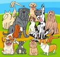 Purebred dogs cartoon characters group