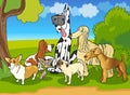 Purebred dogs group cartoon illustration Royalty Free Stock Photo