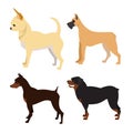 Purebred dogs set