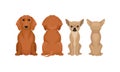 Purebred Dogs Sitting on Hind Legs Front and Back View Vector Set