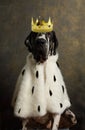 Purebred great Dane in a Royal robe and crown