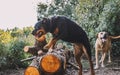 A purebred rottweiler dog jumping a log in the woods