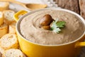 Puree chestnut soup with toasted bread macro. horizontal Royalty Free Stock Photo