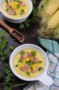 Puree soup with corn Royalty Free Stock Photo