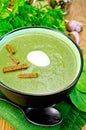 Puree from spinach with garlic and croutons Royalty Free Stock Photo