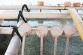 Purification fountain with wooden ladles in Shitennoji temple Royalty Free Stock Photo