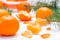 Purified mandarin slices, whole mandarins and fir branches