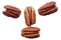 Purified pecans