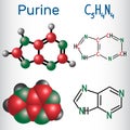 Purine molecule, is a heterocyclic aromatic organic compound. St