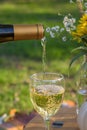 puring white wine outside in summer Royalty Free Stock Photo