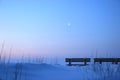 Purity winter with bench in moonlight