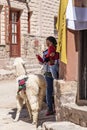 A woman looking at her cell phone and carrying a baby. There is a llama near them