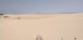 puro deserto con dune di sabbia finissima Royalty Free Stock Photo