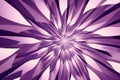 Purple abstract background with radial, radiating, converging lines Royalty Free Stock Photo