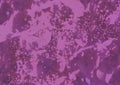 Purple abstract background wallpaper for design use Royalty Free Stock Photo