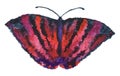 Purple African butterfly for different kind of design.