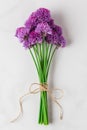 Purple alium wildflowers bouquet on white background. top view. flat lay. verical orientation