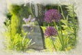 Purple Allium digital watercolour painting. Herbaceous, perennial plants in a suburban garden