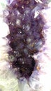 Purple Amethyst Background Royalty Free Stock Photo