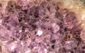 Purple Amethyst cluster geode crystal quartz Royalty Free Stock Photo