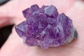 Purple amethyst in hands