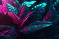 exotic night background tropical purple neon leaf plant beautiful jungle art. Generative AI. Royalty Free Stock Photo