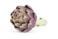 Purple Artichoke