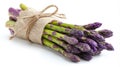 Purple asparagus bundle tied with burlap sack isolated on white Royalty Free Stock Photo