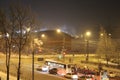 Purple Aster, beautiful flowerstreet of a night city in the Urals in Russia