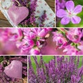 Purple autumn Royalty Free Stock Photo