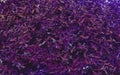 Purple background of decorative willow hatiko leaves