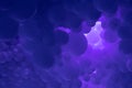Purple background with flying balloons - clean design, 3d abstract realistic banner