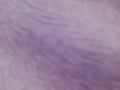 Purple background texture, abstract