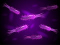 Purple Bacteria in luminescence and flagellum. Vector.