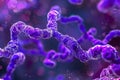 Purple bacteria strands are observed under a microscope, revealing their detailed Royalty Free Stock Photo