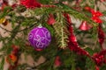 Purple ball on Christmas tree branch Royalty Free Stock Photo