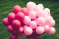 Purple balloons on green Royalty Free Stock Photo