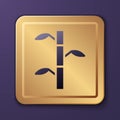 Purple Bamboo stems with leaves icon isolated on purple background. Gold square button. Vector Royalty Free Stock Photo