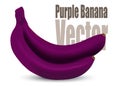 Purple banana vector