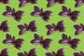 Purple basil leaves seamless pattern on a green background. A simple drawing for the surface of packaging, textiles, advertising