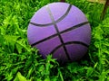 purple basketball ball on green grass closeup photo.