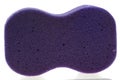 Purple Bath Sponge