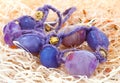 Purple beads. Jewelry