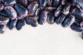 Purple beans on white background