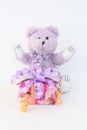 Purple bear and gift box. Royalty Free Stock Photo