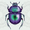 Purple beetle in patterns on a light green background Royalty Free Stock Photo